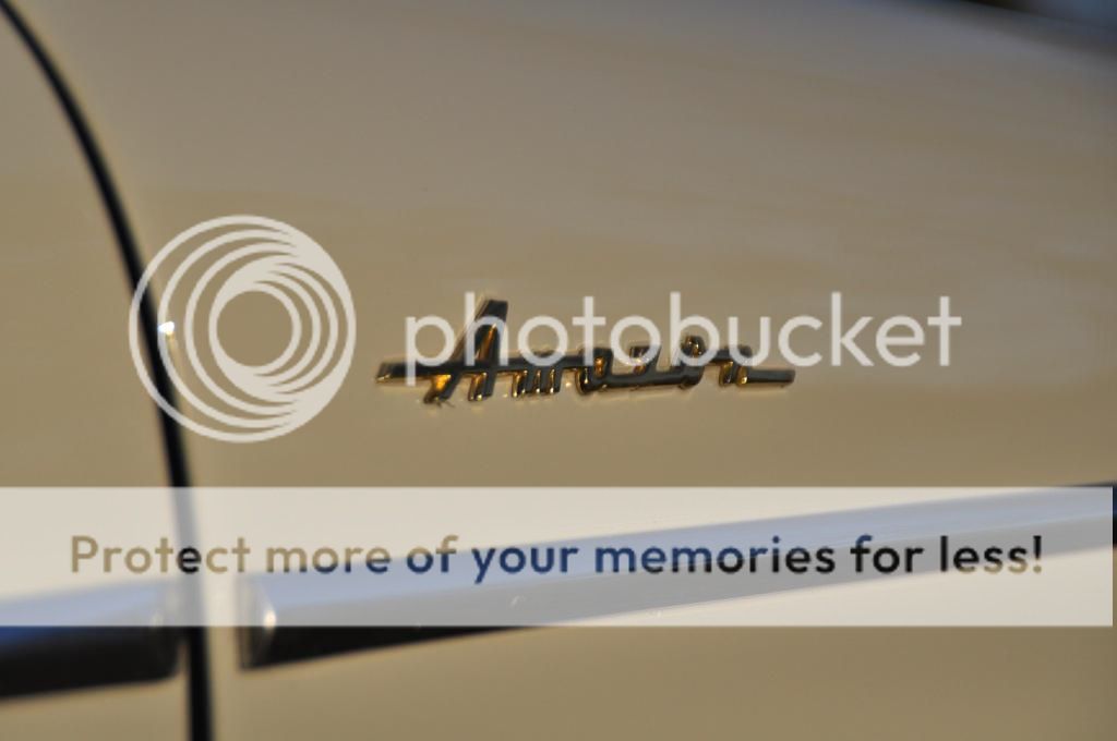 [Afbeelding: DSC_0010_zpsfaacd863.jpg]