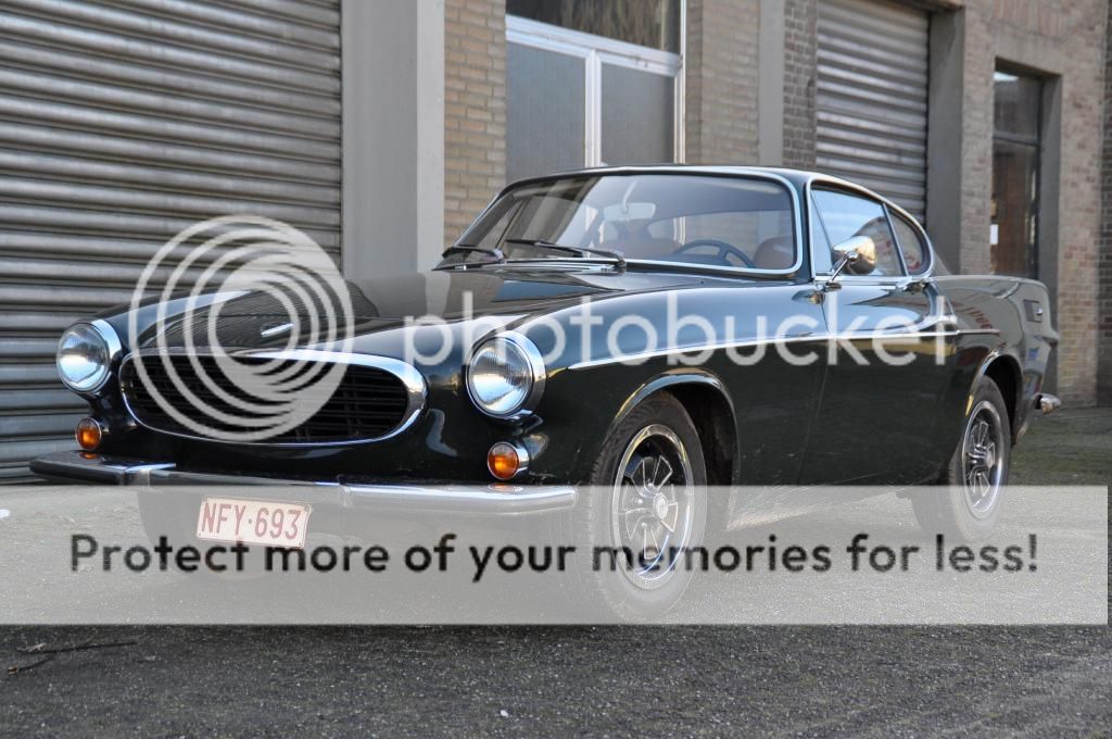 [Afbeelding: DSC_0069_zps506a8c54.jpg]