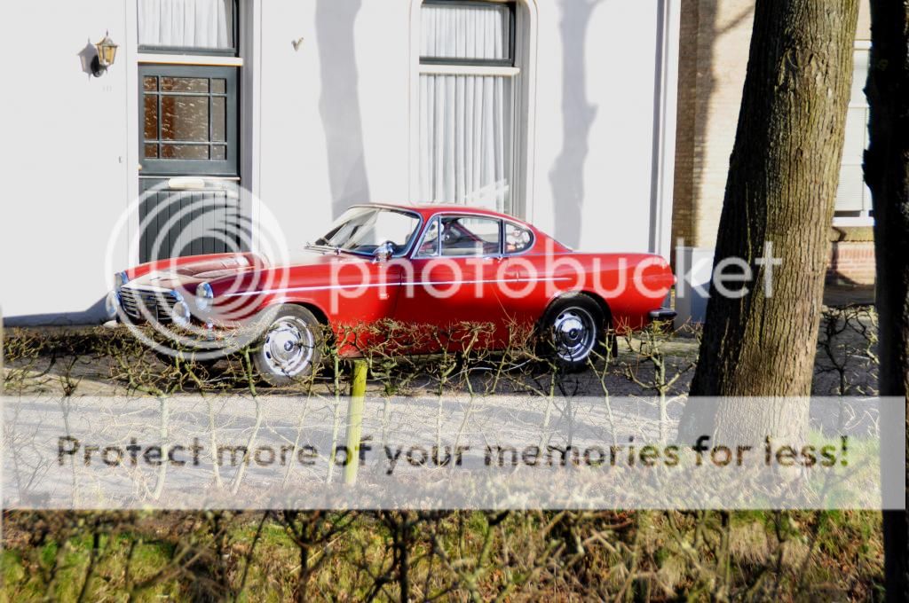 [Afbeelding: DSC_0087_zpsd9b35a9d.jpg]