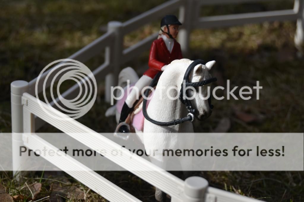 photo Dima015_zps1aafa60c.jpg