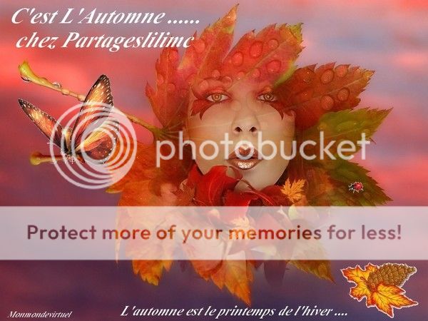 photo 29 SEPTEMBRE 2012.jpg
