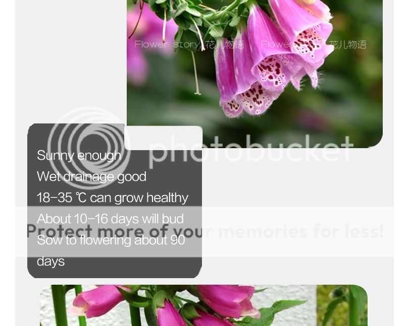 free instant messenger dating sites