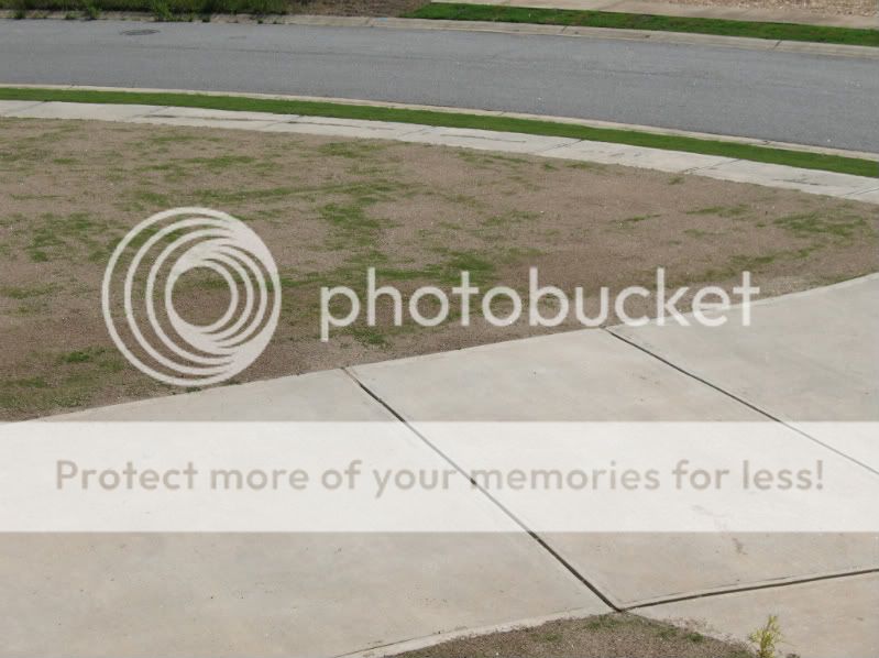 Topdressing of Bermuda Lawn With River Sand Lawn Care Forum