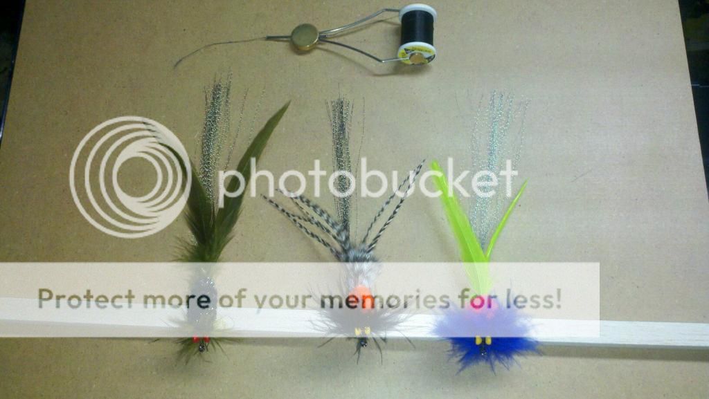 Posted Image