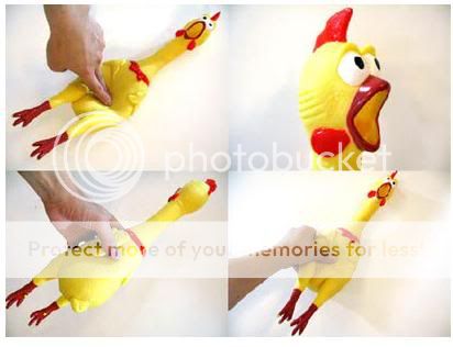 rubber chicken photo: Funny Shrilling Screaming Rubber Chicken 5.jpg