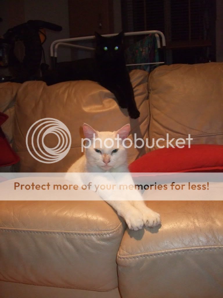 002-4.jpg?t=1315253464