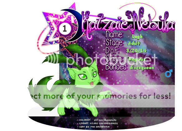 User Image