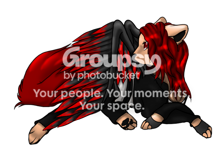 User Image