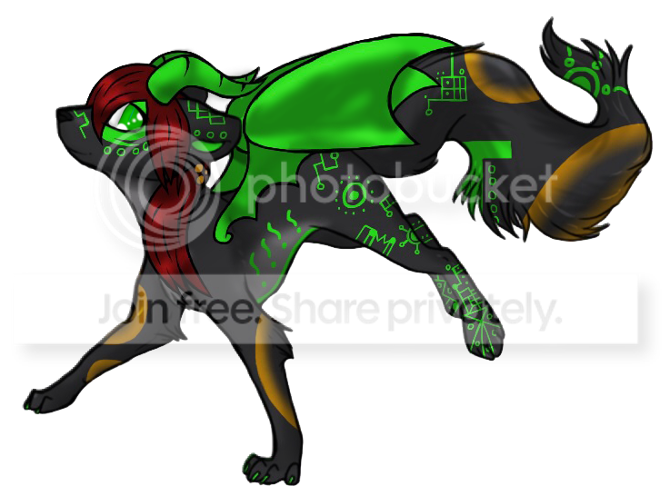 User Image