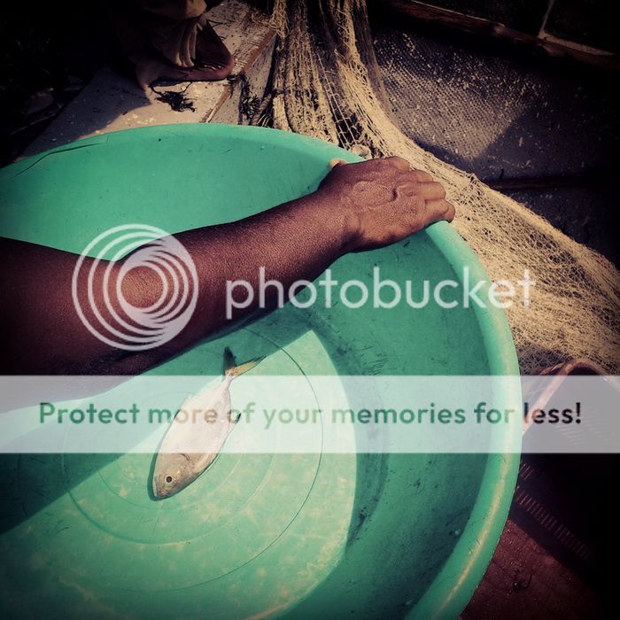 photo 7_insta_plot_resize_zpsd6229fda.jpg