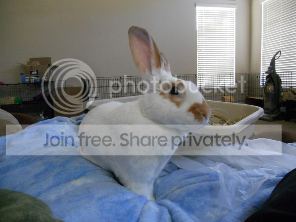  photo DSCN3349_zpscd9bc29e.jpg